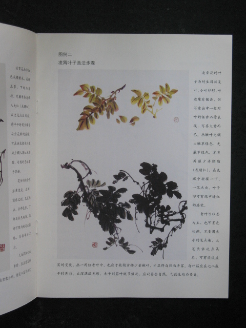 主题:写意花鸟凌霄画法(李泽民.陕西人民美术2005年版.16开)